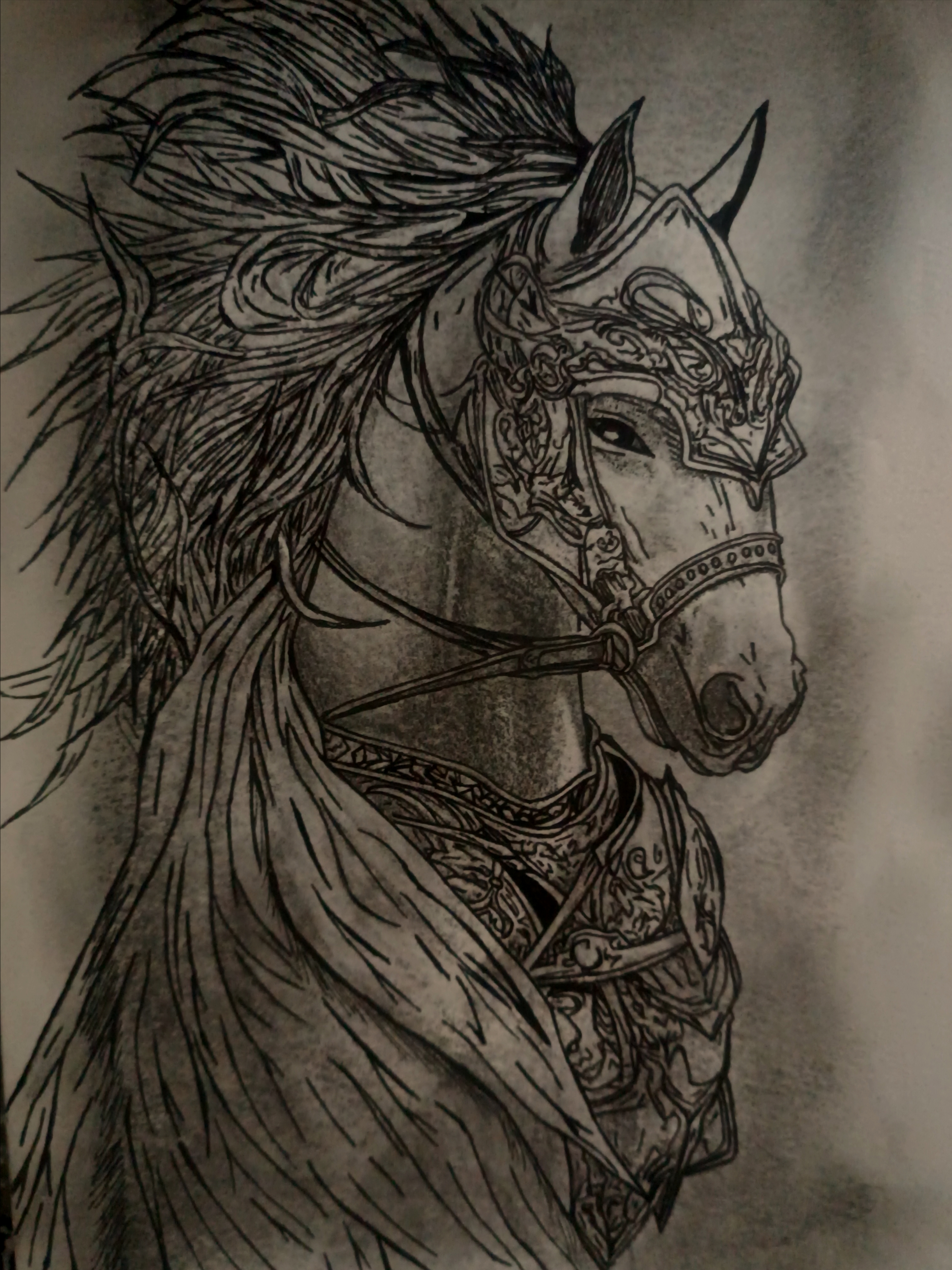 رخـش🐴